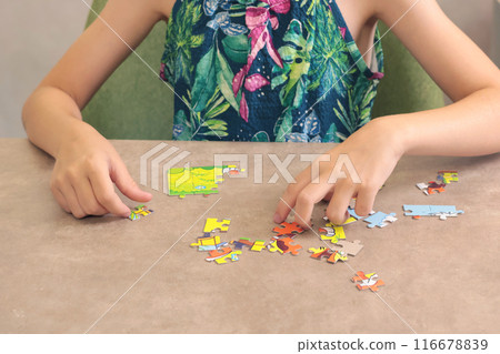 Young teenage girl putting together puzzle on table at home. Toys and activiti for children. Developmental activities at home.  116678839