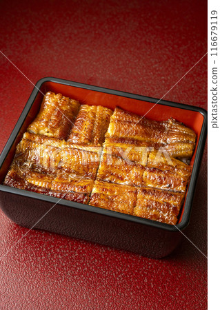 Delicious eel Delicious eel 116679119