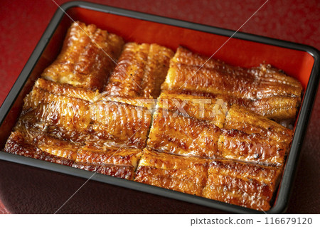 Delicious eel Delicious eel 116679120