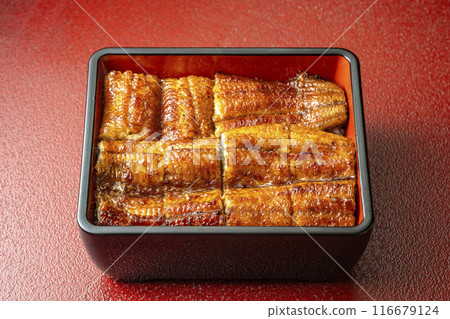 Delicious eel Delicious eel 116679124