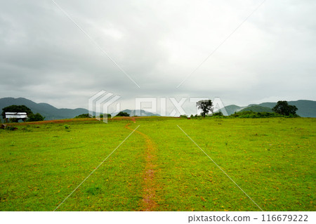 Green Field Valley in Daringbadi Mountain of Odisha 116679222