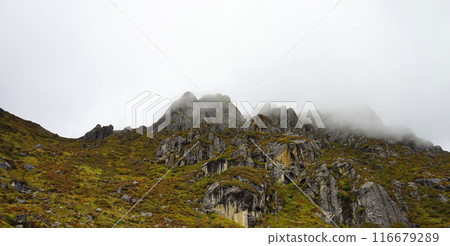 Green Mountain Peak at Old Silk Route Sikkim 116679289