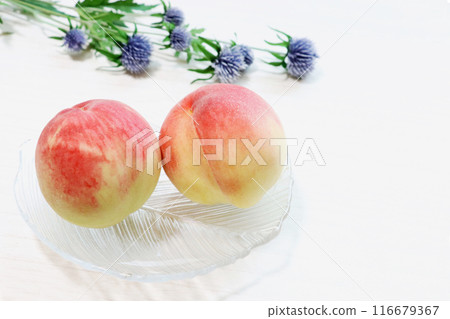 Two "Yume Mizuki" peaches and blue flowers on a glass plate Two "Yume Mizuki" peaches and blue flowers on a glass plate 116679367