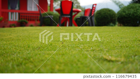 Green Grass Decorative Offbeat Village Lungchok at East Sikkim 116679435