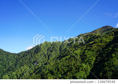 Green Mountain Range in Silk Route Sikkim 116679548