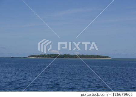 Blue sky and sea 116679605