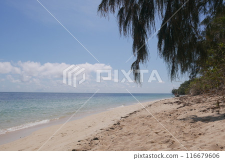 blue sea and sky 116679606