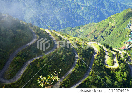 Green Natute of Zig Zag Road in old Silk Route Sikkim 116679629