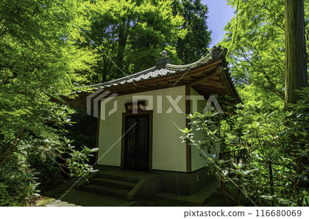 四國88寺第81號 白嶺寺 香川縣坂出市馬割子堂 四國88寺第81號 白嶺寺 香川縣坂出市馬割子堂 116680069