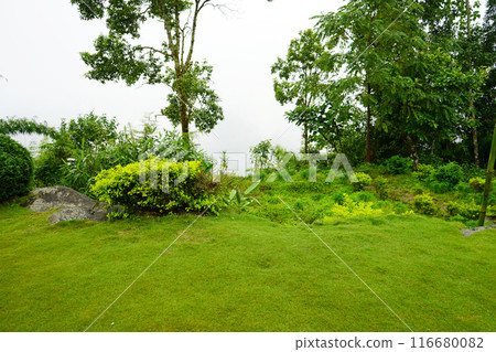 Greenery View of Lungchok, A offbeat Village of East Sikkim Greenery View of Lungchok, A offbeat Village of East Sikkim 116680082