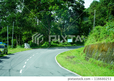Himalayan Roadways of North Bengal with Green Nature 1 Himalayan Roadways of North Bengal with Green Nature 1 116680253
