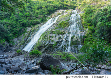 Okawa waterfall of Yakushima Okawa waterfall of Yakushima 116680417