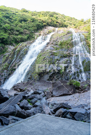 Okawa waterfall of Yakushima Okawa waterfall of Yakushima 116680429