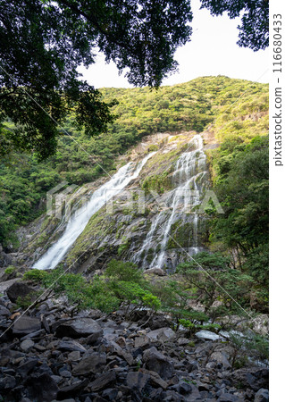Okawa waterfall of Yakushima Okawa waterfall of Yakushima 116680433
