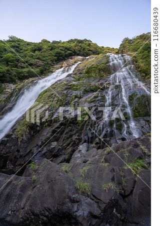 Okawa waterfall of Yakushima Okawa waterfall of Yakushima 116680439