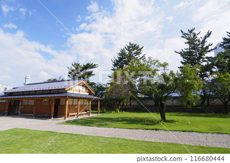 夏季的山梨縣甲府市舞鶴城公園 116680444