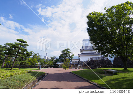 夏季的山梨縣甲府市舞鶴城公園 夏季的山梨縣甲府市舞鶴城公園 116680448