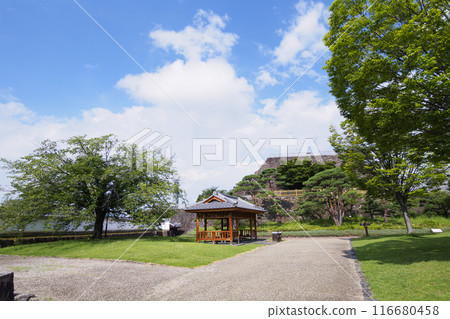 Maizuru Castle Park in Kofu, Yamanashi Prefecture in summer 116680458