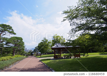 Maizuru Castle Park in Kofu, Yamanashi Prefecture in summer Maizuru Castle Park in Kofu, Yamanashi Prefecture in summer 116680459