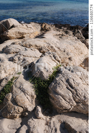 Rock, Stone Stage in nature with Sea sand Beach seashore Landscape and blue sky nature Background  116680774