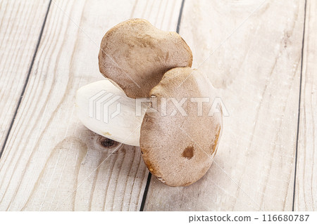 Raw Eringi mushrooms for cooking 116680787