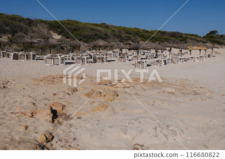 Sunbeds, umbrellas and hammocks in a beach in Summer 116680822