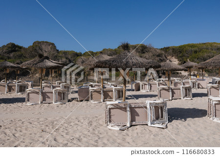 Sunbeds, umbrellas and hammocks in a beach in Summer Sunbeds, umbrellas and hammocks in a beach in Summer 116680833