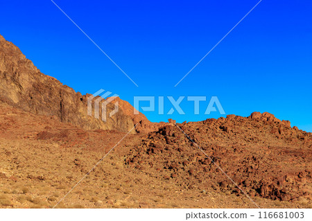 View of the rocky Sinai mountains and desert in Egypt View of the rocky Sinai mountains and desert in Egypt 116681003
