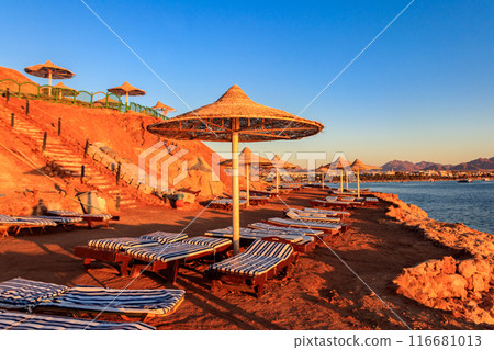 Sun umbrellas and chaise lounges on tropical beach. Concept of rest, relaxation, holidays, resort Sun umbrellas and chaise lounges on tropical beach. Concept of rest, relaxation, holidays, resort 116681013