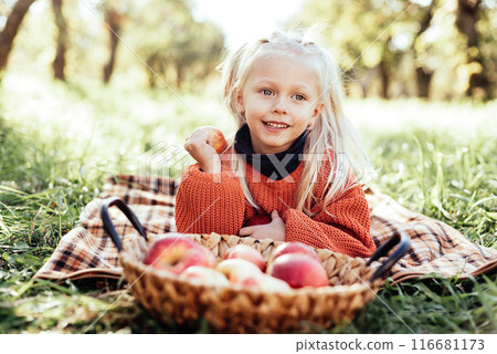 Child picking apples on farm in autumn. Little girl playing in tree orchard. Healthy nutrition. Cute little girl eating red delicious fruit. Harvest Concept. Apple picking. 116681173