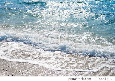 浪潮在沙灘上擊敗 116681489