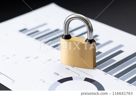 Information security image (business graph and padlock) Information security image (business graph and padlock) 116681763