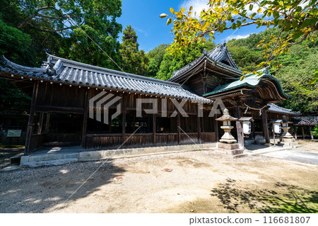 Early autumn in Sakae, Osake Shrine, Ako City, Hyogo Prefecture Early autumn in Sakae, Osake Shrine, Ako City, Hyogo Prefecture 116681807