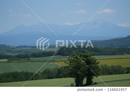 [Biei, Hokkaido] An airplane flying over the hills of Biei with Mount Asahidake in the background 116681957