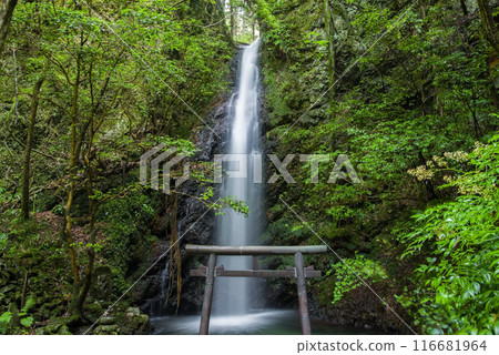 Iwamon Falls (Horado-Ono, Seki City, Gifu Prefecture) 116681964