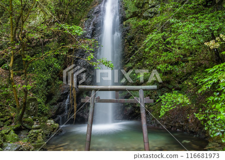 Iwamon Falls (Horado-Ono, Seki City, Gifu Prefecture) 116681973