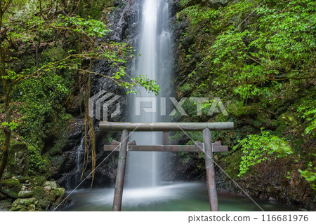 Iwamon Falls (Horado-Ono, Seki City, Gifu Prefecture) Iwamon Falls (Horado-Ono, Seki City, Gifu Prefecture) 116681976