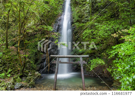 Iwamon Falls (Horado-Ono, Seki City, Gifu Prefecture) Iwamon Falls (Horado-Ono, Seki City, Gifu Prefecture) 116681977