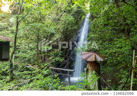 Iwamon Falls (Horado-Ono, Seki City, Gifu Prefecture) 116682006
