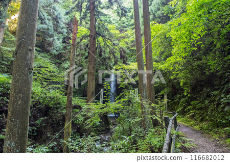 Promenade to Iwamon Falls [Horado-Ono, Seki City, Gifu Prefecture] 116682012