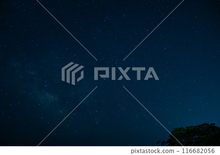伊豆的夜空佈滿了星星 116682056