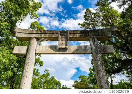 福岡縣宗像大社邊津神社鳥居 116682079