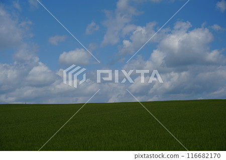 [Biei, Hokkaido] Sky, clouds, and earth 116682170