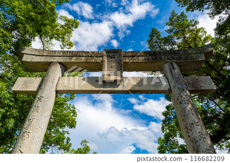 Torii gate at Munakata Taisha Shrine, Fukuoka Prefecture 116682209