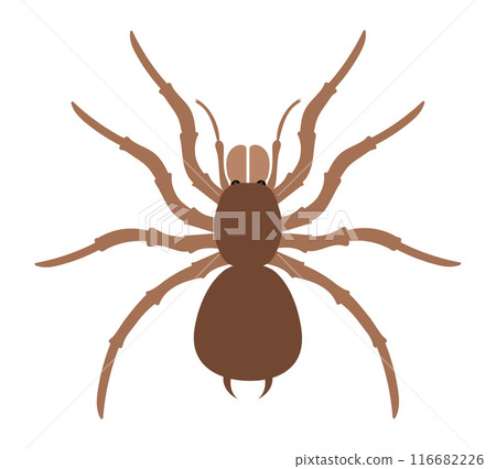 flat style insects wildlife animals vector illustration flat style insects wildlife animals vector illustration 116682226