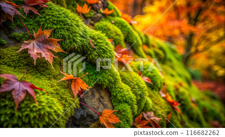 Autumn Leaves on Lush Green Moss Texture 116682262