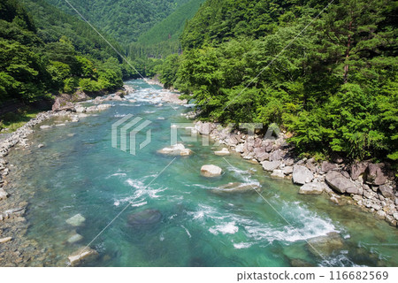 Beautiful summer stream 116682569