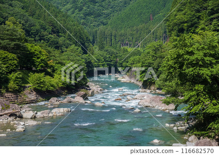Beautiful summer stream 116682570