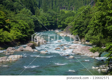 美麗的夏日山溪 116682571