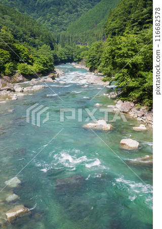 美麗的夏日山溪 116682578